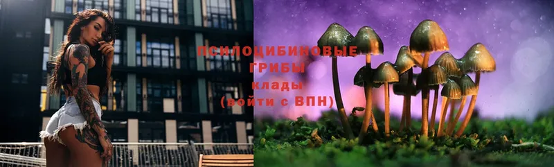 Галлюциногенные грибы Magic Shrooms  Ахтубинск 